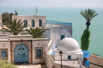 Poster de jardin Tunisie Panoramica de Sidi Bou Said