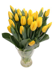 Yellow tulips in a vase