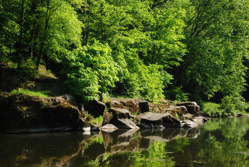 Fototapeta na wymiar Green trees and stones on river bank