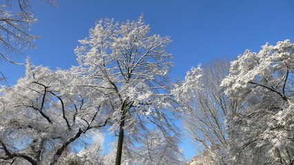 Winterlandschaft