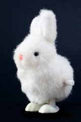 rabbit toy