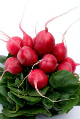 rzodkiewka, radish