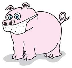 Swine Flu