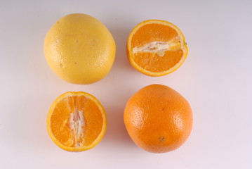 pomarańcze i grejpfrut - obrazy, fototapety, plakaty