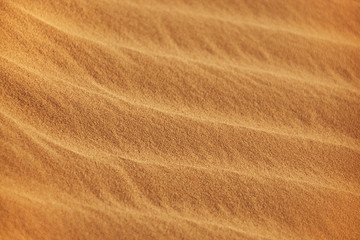 close-up of desert sand pattern