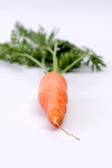 marchewka, carrot © Krzysztof Budziakows