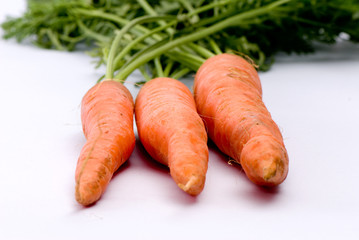 marchewki, carrots