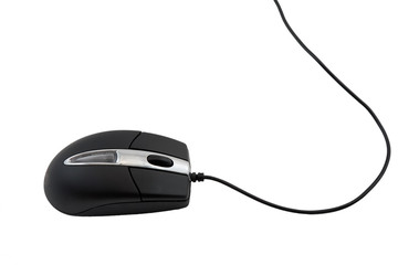 Computer black mouse. Isolated