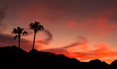 SUNSET AT PALM SPRINGS_CALIFORNIA