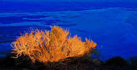 DEATH VALLEY_CALIFORNIA
