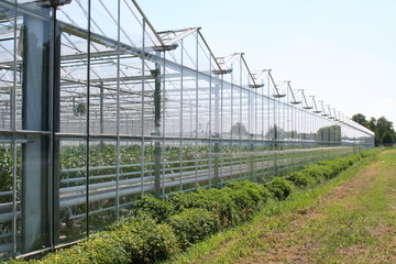 Obraz premium Gewächshäuser