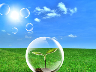 concept of ecology