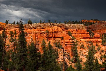 RED CANYON_UTAH