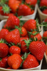 Fraises de Carpentras