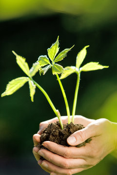 nature prot&eacute;g&eacute;e 2