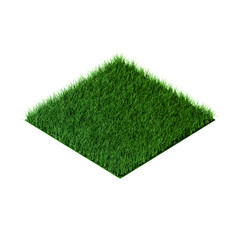 Green grass field in orthographic view