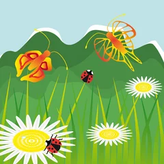 Poster de jardin Coccinelles paysage avec des fleurs de marguerite papillon et coccinelle