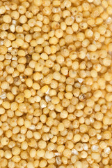texture, structure of millet