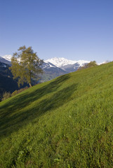 Frühlingserwachen in den Bergen