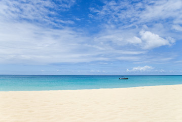 Fototapeta na wymiar Tranquil Tropical Beach