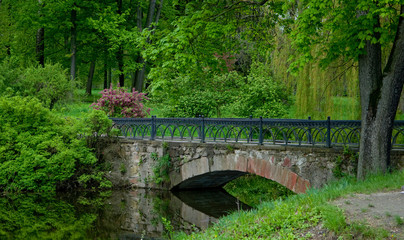 Fototapeta premium The bridge in Alexandria park