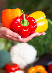 vegetables