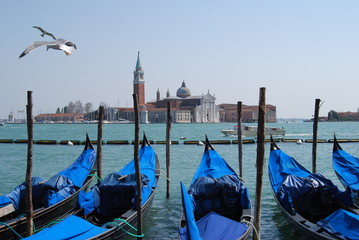 Venezia - San Giorgio © Stefano Gasparotto