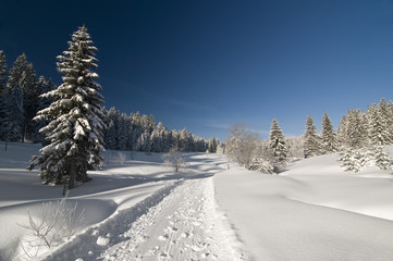 Obraz premium Schnee_7