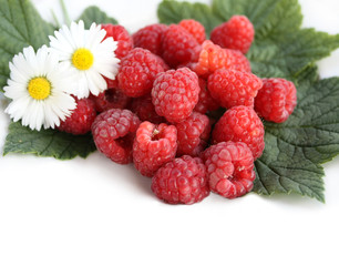 Raspberries with Flowers and Green Leaves