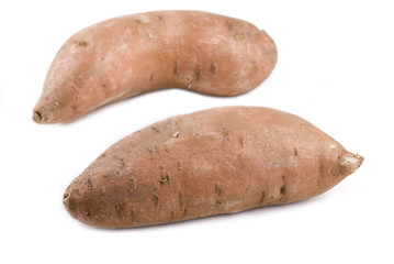 Sweet  Potato