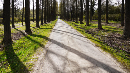 country road