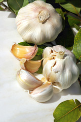 Garlic and green parrot.