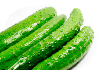 cucumber