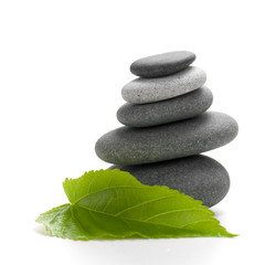 nature concept, green leaf and stones on white background