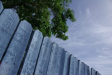 Ein Lattenzaun in Phoenix, Arizona