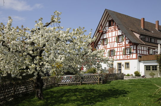 Haus in Allensbach