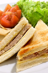Meat Sandwich
