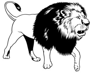 Lion - black outline illustration