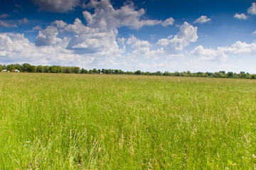 Obraz premium prairie