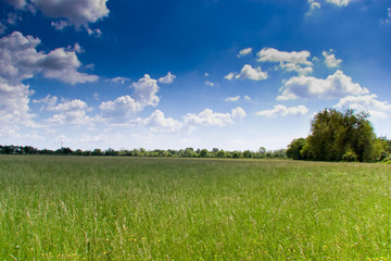 prairie