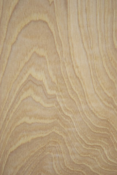 Hickory Wood Grain