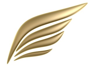3d bird wing symbol