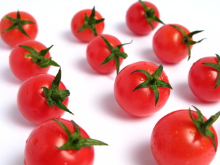 Cherry tomatoes forming lines on white background