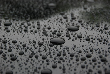 Water drops on car hood