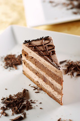 Chocolate cake on white plate