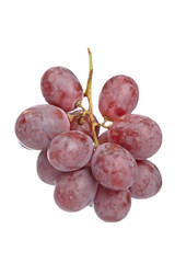 Grape cluster