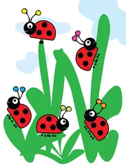 Poster lieveheersbeestjes in gras © waterlilly