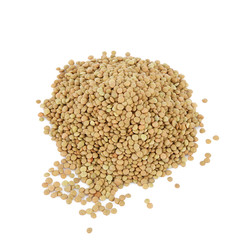 lenticchie