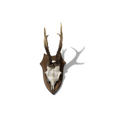 jagd_hirsch_ 0005