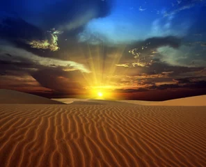 Foto auf Acrylglas Wüste © Olga Khoroshunova